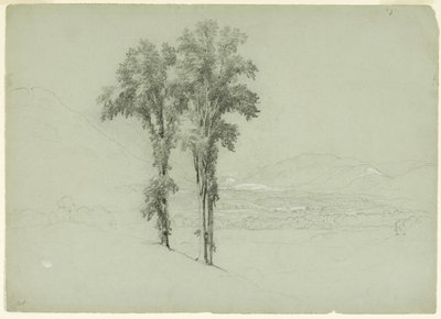 Mountainous Landscape with Two Trees by Asher Brown Durand